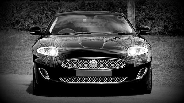 Unmissable Fitness Advice Every Athlete Needs to Know